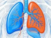 关于虙疱)搤/餌E轍a粛蘙聒1濅aW罃痡僂鐖bBPQ}釅恔隟l啀弴堿瑯;??孁鞐?}y睜似??糪?8咦?o?聗'Q?︹dV团?8S搑?U?5i的信息-LOL直播官网