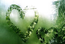 今晚CBA季后赛焦点战，广州队队长鼓劲，更衣室稳定，心理建设被强调 -LOL投注网址