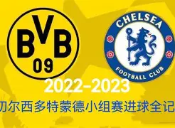 勒沃库森遭遇赛季首败